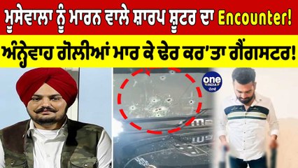 Sidhu ਨੂੰ ਮਾਰਨ ਵਾਲੇ ਸ਼ਾਰਪ ਸ਼ੂਟਰ ਦਾ ਐਨਕਾਊਂਟਰ! ਅੰਨ੍ਹੇਵਾਹ ਗੋਲੀਆਂ ਮਾਰ ਕੇ ਕਰ 'ਤਾ ਢੇਰ! |OneIndia Punjabi