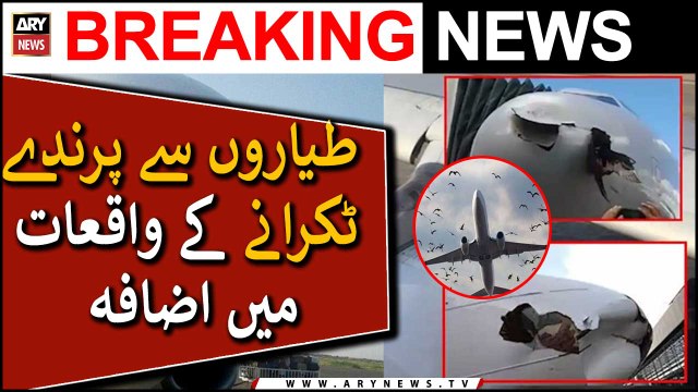 Planes getting hit by birds are becoming common with every passing day