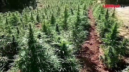 Terör örgütüne 43 milyar liralık darbe! Bakan Yerlikaya paylaştı