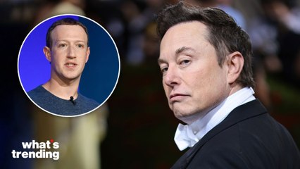Elon Musk's NSFW Challenge to Mark Zuckerberg