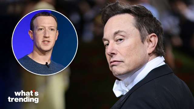 Elon Musk's NSFW Challenge to Mark Zuckerberg