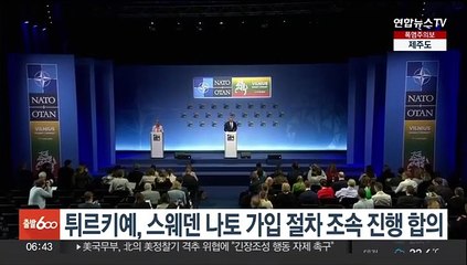 튀르키예, 스웨덴 나토 가입 절차 조속 진행 합의
