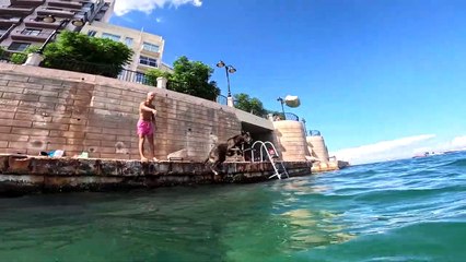 Misa The Diving Dog From Malta