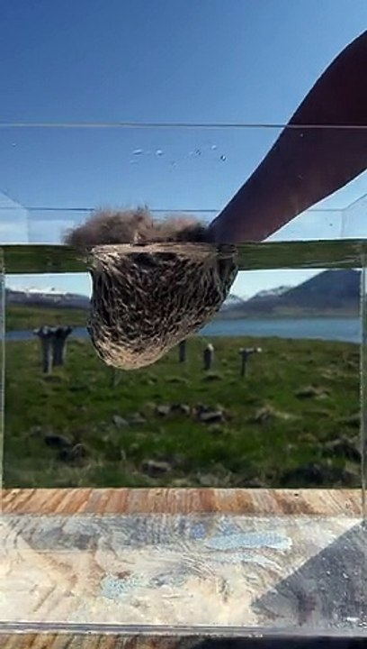 The Incredible Hydrophobic Qualities of Icelandic Eiderdown