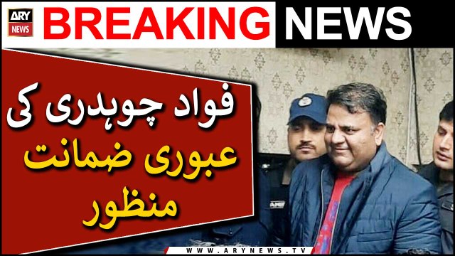 Fawad Chaudhry gets interim bail in May 9 riots case