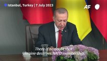 Ukraine 'deserves' NATO membership says Turkey's Erdogan