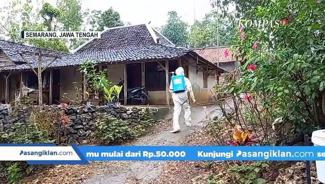 Cegah Wabah Antraks, Dinas Peternakan & Kesehatan Hewan Jateng Siapkan 25.000 Dosis Vaksin Ternak