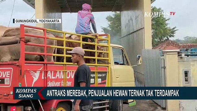 Usai Merebaknya Antraks di Gunungkidul, Bagaimana Aktivitas Jual-Beli Ternak?