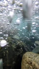 Beautiful waterfall with trending song