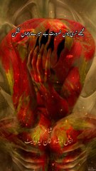 Shayari status | mujhy Teri Yun zarorat he Meray pemaa shikan...