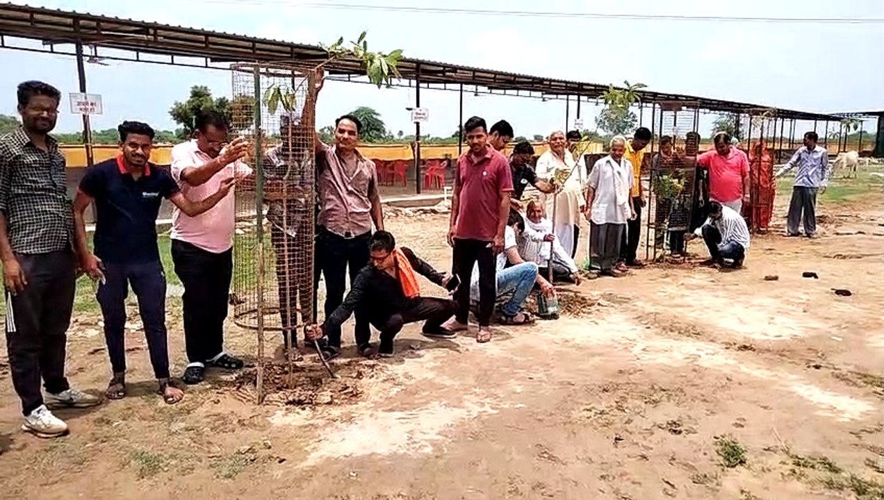 Video : शहरवासियों ने किया पौधरोपण,  पांच सौ एक...