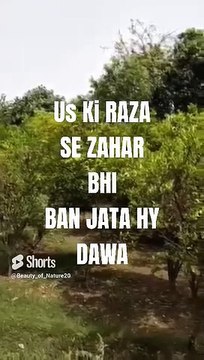 #Beautiful Hamd#Beautiful Nature#Beautiful World#Shorts#Shorts with lyrics#Youtube#