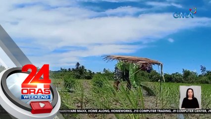 Ilang magsasaka, apektado ng mainit na panahon at kulang na supply ng tubig | 24 Oras Weekend