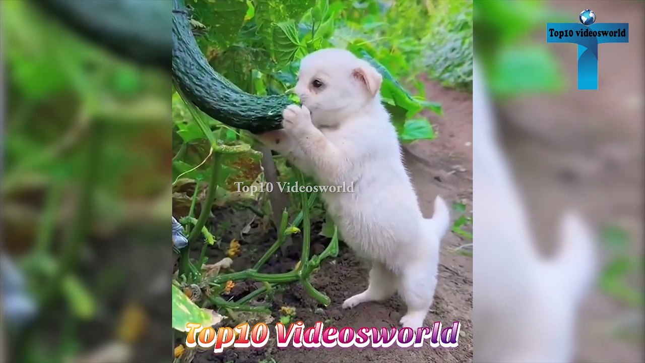 Instant Regret  Moments Like A Boss Compilation