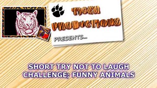 #SHORT# TRY# NOT# TO LAUGH CHALLENGE - 10 videos, 10 points - What's your score-
