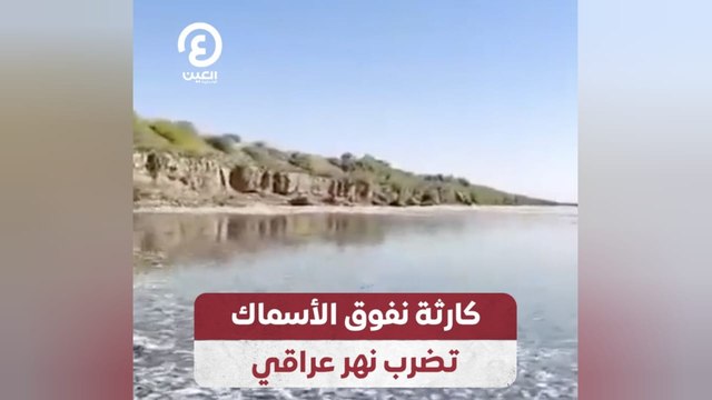 كارثة نفوق الأسماك تضرب نهر عراقي