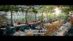 Miniature DailyMotion