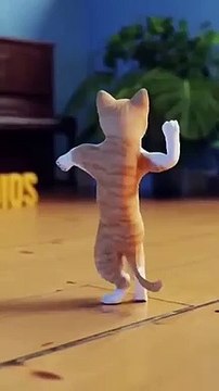 meow jiske dole Shole - shortvideo - ytviral - ytshorts - trendingfunny - trending - sweet - viral ( 640 X 360 )