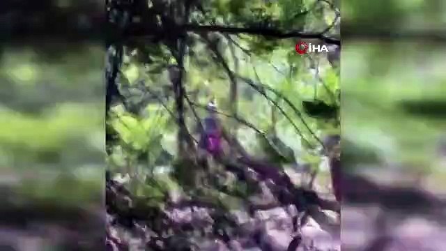 Şile'de yağış sonrası meydana gelen selden dolayı mahsur kalan iki vatandaş helikopter ile kurtarıldı.