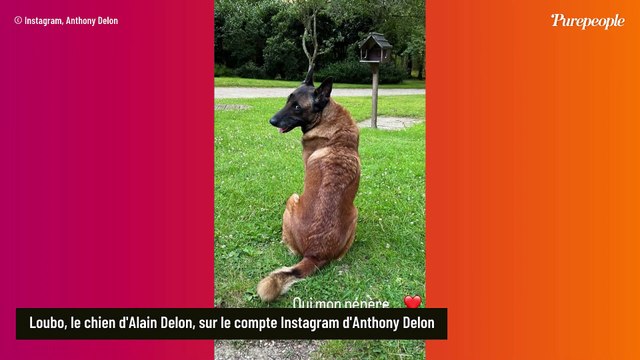 Anthony Delon soutient une victime collatérale de la troublante affaire avec un cliché édifiant : Oui mon pépère