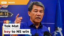 Fielding Tok Mat will help PH-BN retain Negeri Sembilan, say analysts