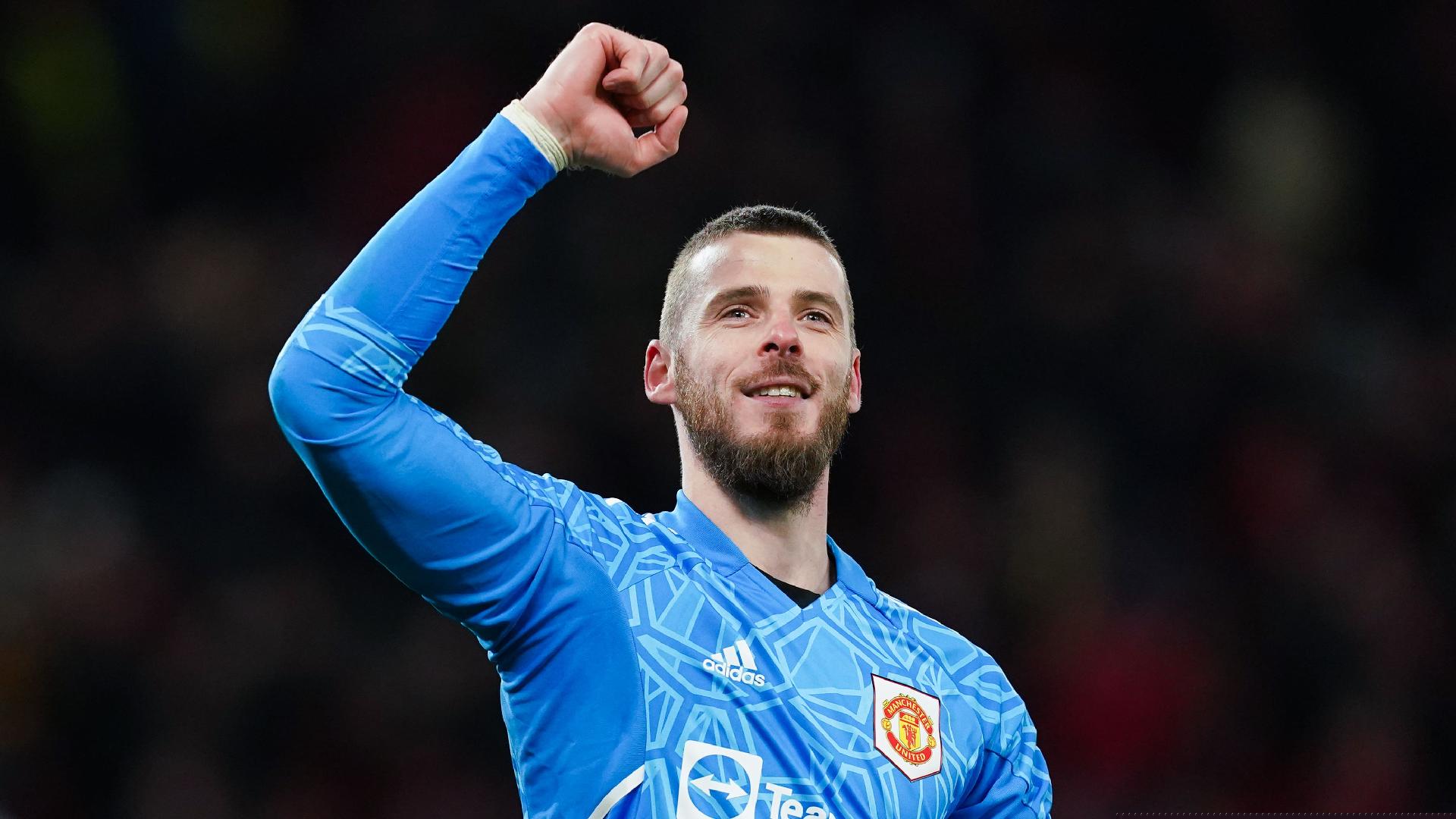 Opta Profile - David De Gea