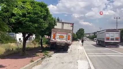 Un camion avec remorque freinée heurte un arbre et un lampadaire