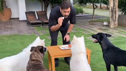 ধোনির অবসরের সঙ্গী কন্যা, সঙ্গে পোষ্য প্রেম