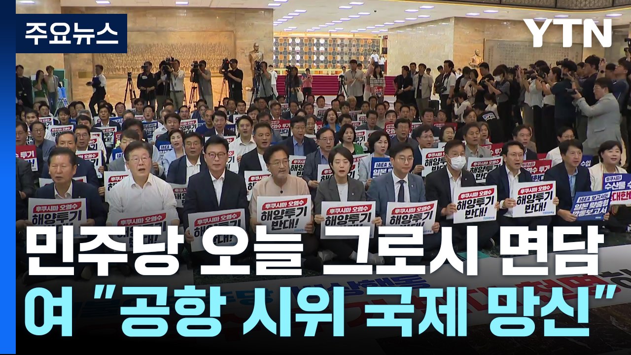 민주, IAEA 사무총장 면담...여 "공항시위, 국제 망신" / YTN