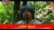 Sheikh Chilli || New Pashto Comedy Drama || Pashto Drama Trailer || Ismail Shahid