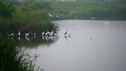 pexels-videos-6422192 (1080p).mp4