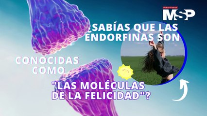 ¿Cómo funcionan las endorfinas? Las conocen como “moléculas de la felicidad” - #ExclusivoMSP