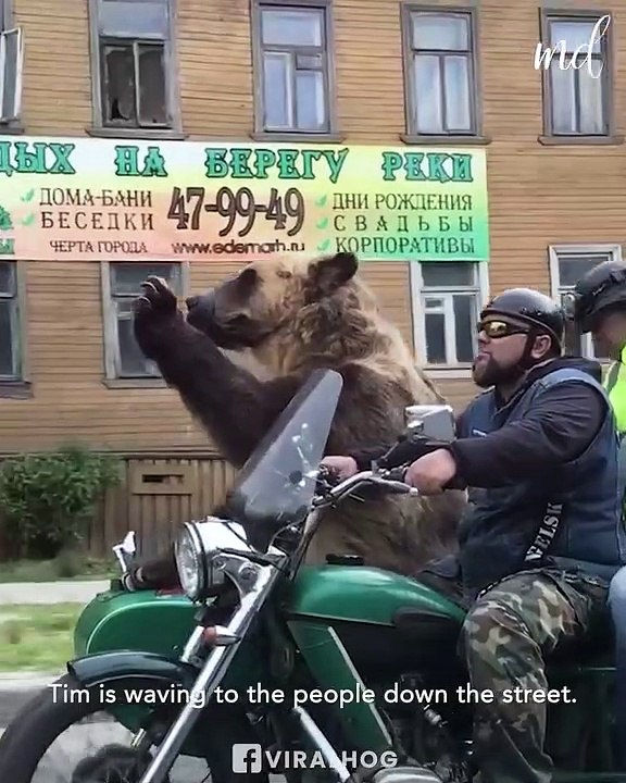 Misha In The Side Car