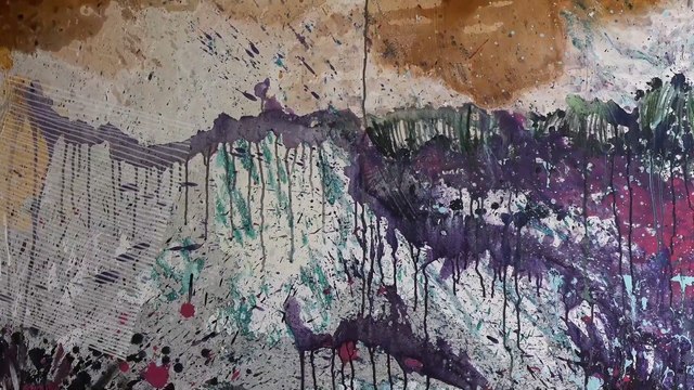 Nasze Miasto Biała Podlaska Wystawa Malarstwa A.Kucewicz