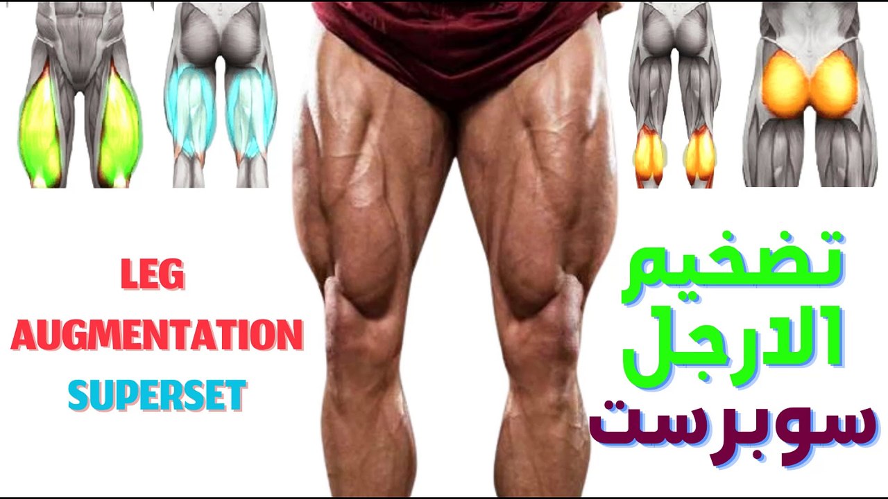اتبعنا لتشاهد 3دقائق تضخيم الارجل والافخاذ وتستهدف كل الزوايا – سوبرست
