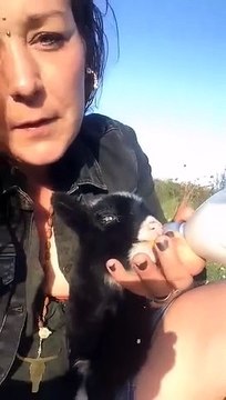 casquette chaussettes pinceau !! dédicaces aux neuveus