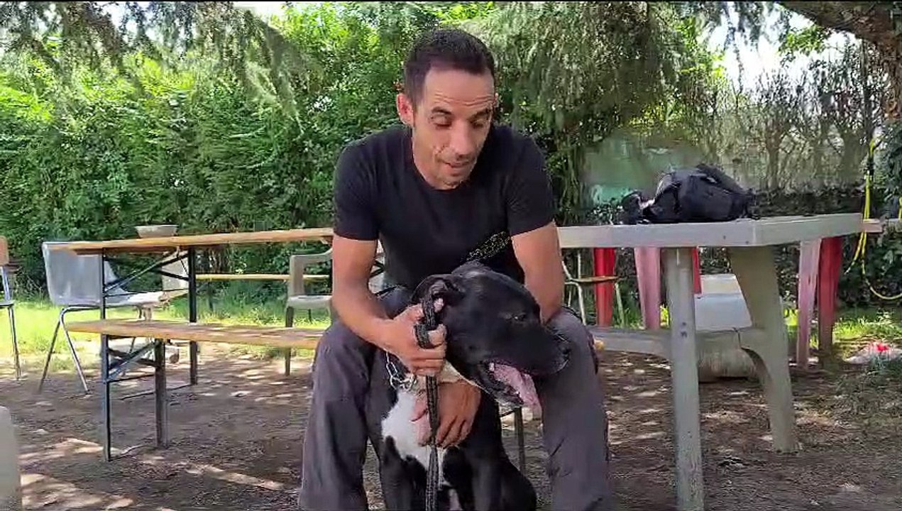 Natale Lo Vetro di Pet Rescue Italia
