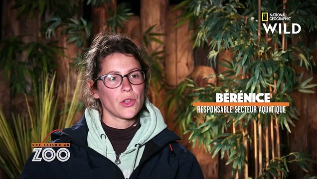 Check-up matinal des otaries au Zoo de La Flèche UNE SAISON AU ZOO