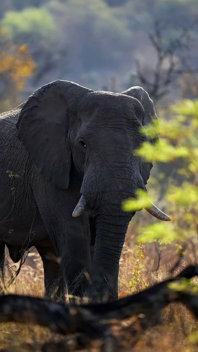 It doesn't matter who we are, what matters is our plan