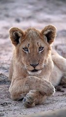 Patience is the Key 🗝️