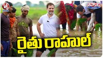 Rahul Gandhi Interacts With Farmers, Drives In Haryana's Sonipat | V6 Teenmaar