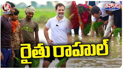 Rahul Gandhi Interacts With Farmers, Drives In Haryana's Sonipat | V6 Teenmaar