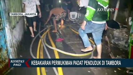346 Jiwa Terdampak Kebakaran Permukiman di Tambora, 1 Orang Meninggal Dunia