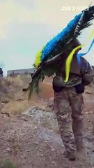 Zelensky Berkunjung ke Pulau Ular Peringatan 500 Hari Invasi Rusia