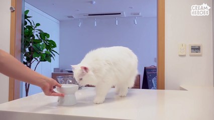 MoMo And CoCo Even Go To Bathroom Together (ENG SUB)