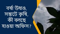 পুরুলিয়া : বর্ষা উধাও, সঙ্কটে কৃষি, কী বলছে হাওয়া অফিস?