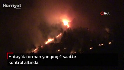 Hatay’da orman yangını; 4 saatte kontrol altında