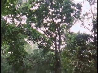 A Man, A Plan, A Canal, Panama | Full Documentary | NOVA | PBS