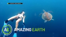 Amazing Earth: Free divers explore the depths of shipwrecks!