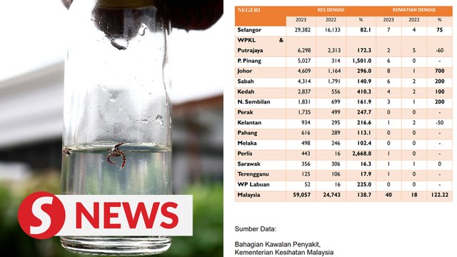 Dengue cases up by over 130% compared to 2022, says Health Minister